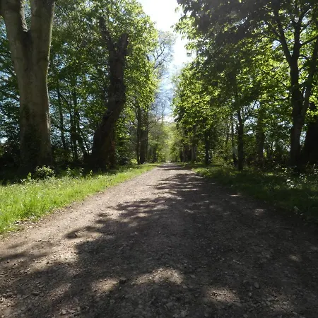 Hotel Des 4 Continents - Le Mans 3*