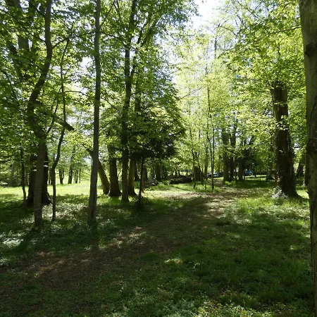 Des 4 Continents - Le Mans Saint-Saturnin (Sarthe)