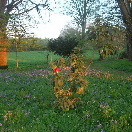 Hotel Des 4 Continents - Le Mans