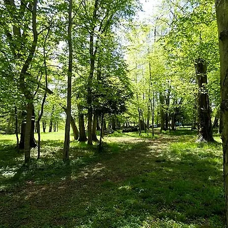 Des 4 Continents - Le Mans Saint-Saturnin (Sarthe)