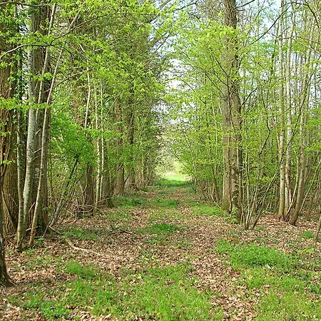 Hotel Des 4 Continents - Le Mans