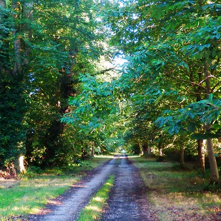 Des 4 Continents - Le Mans 3*