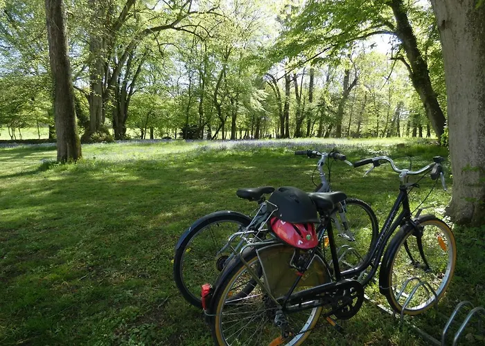 四大洲酒店 - 勒芒 圣萨蒂南