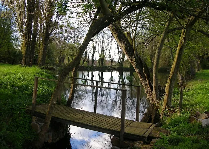 酒店 四大洲酒店 - 勒芒 圣萨蒂南